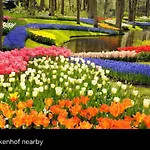 1001 Nights Luxury Oasis With Jacuzzi Sauna And Garden Near Amsterdam Horská chata