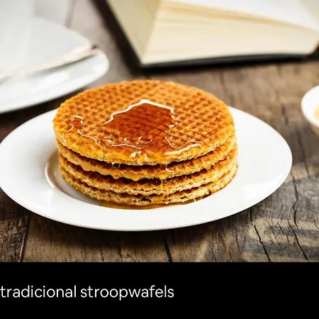 Buddha Style Family House & Jacuzzi & Sauna Near Amsterdam *