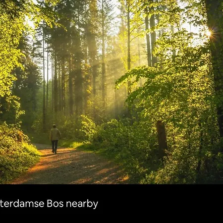 Chalet Buddha Style Family House & Jacuzzi & Sauna Near Amsterdam Vijfhuizen