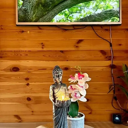 Cozy With Sauna, Jacuzzi&yard Near Amsterdam Chalet *