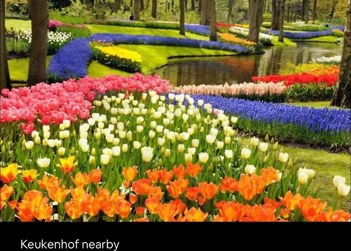 1001 Nights Luxury Spa Oasis With Jacuzzi Sauna And Garden Near Amsterdam 샬레