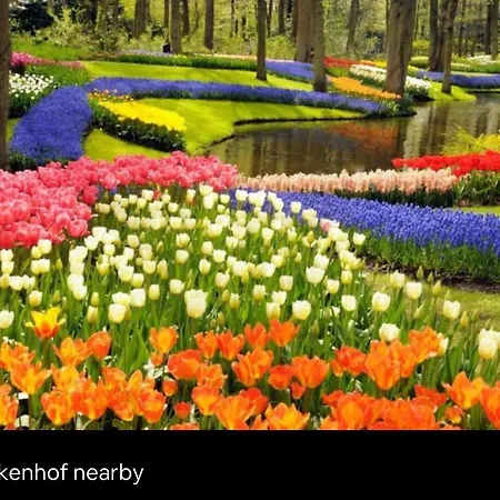 Buddha Style Family House & Jacuzzi & Sauna Near Amsterdam Σαλέ