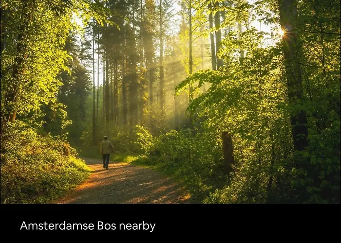 Chalet 1001 Nights Luxury Oasis With Jacuzzi Sauna And Garden Near Amsterdam Vijfhuizen